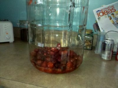 brewlog: Strawberries!